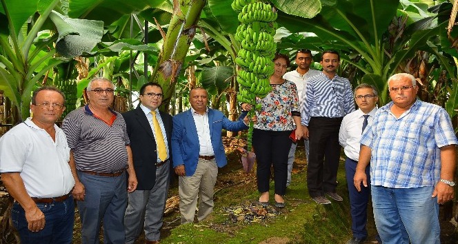 Boztaş: “Manavgat muza damgasını vuracak”