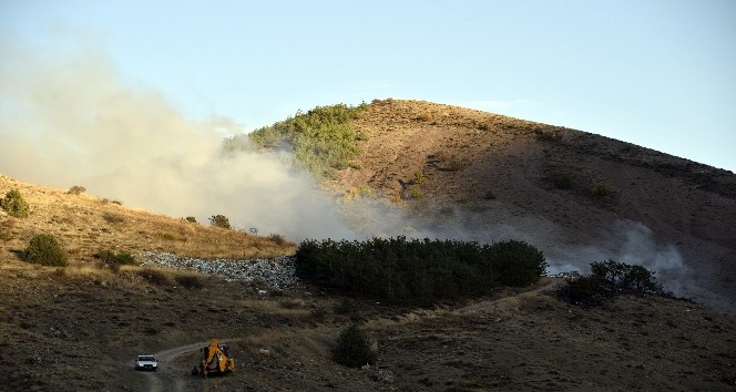 Gümüşhane’de iki ayrı orman ve örtü yangını
