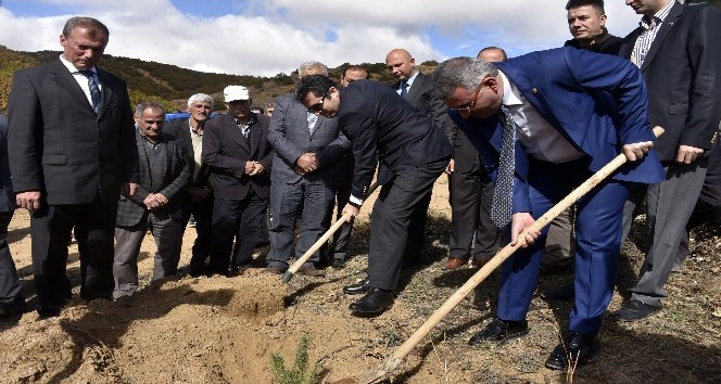 Köse’de 41 bin fidan toprakla buluştu