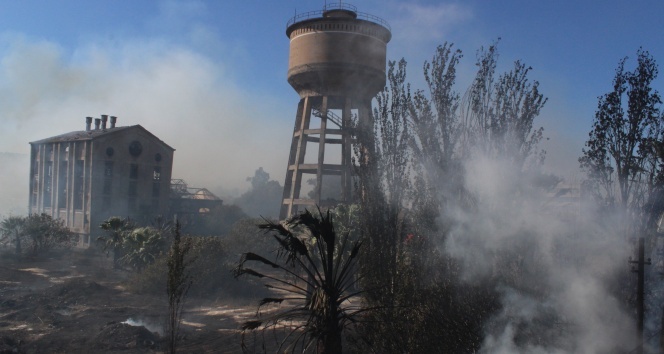 İzmir&#039;de korkutan yangın
