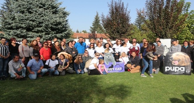 Odunpazarı Belediyesi Kedi Evleri Projesi’ne ESYEM’den destek
