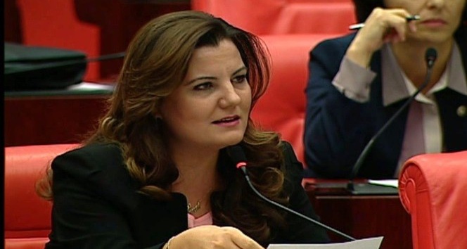 Milletvekili Hürriyet, Kocaelispor’u meclise taşıdı