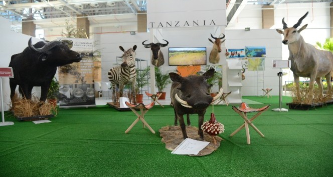 Tanzanya’nın vahşi doğası Expo 2016’da