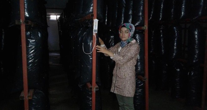 Genç çiftçiler mantar yetiştirdi