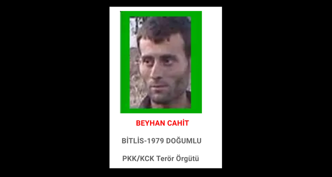 Başına 1 milyon TL ödül konulan terörist Bitlis&#039;te öldürüldü