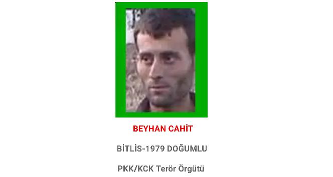 Başına 1 milyon TL ödül konulan terörist Bitlis’te öldürüldü
