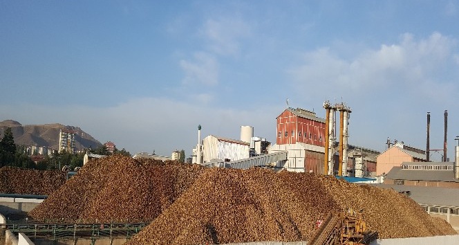 Kayseri Şekerden pancar çiftçisine 54 milyon TL söküm avansı