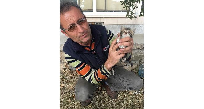 Sorgun’da kedi yavrularına itfaiye ekipleri sahip çıtı