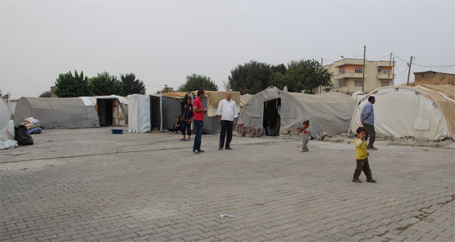 DEAŞ zulmünden kaçan Yezidiler Irak&#039;a dönmek istemiyor