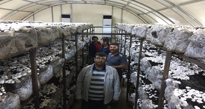 Beyşehir’de hibeden yararlanan genç çiftçiler kültür mantarı yetiştiriyor