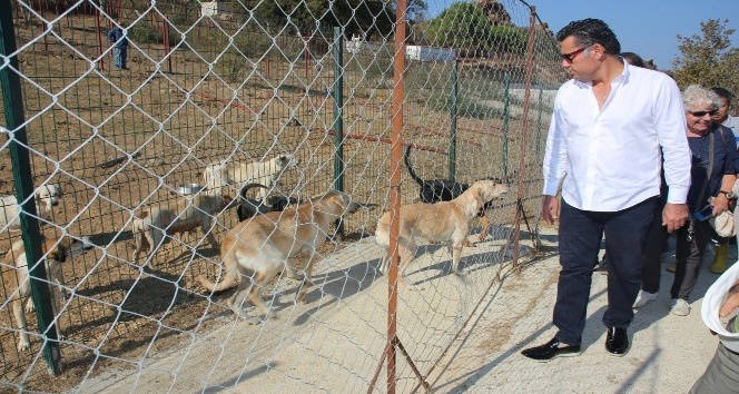 Başkan Kocadon, Alman hayvanseverlerle bakım evini ziyaret etti