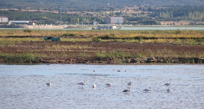 Beyşehir Gölü kıyıları kuraklık nedeniyle çekildi