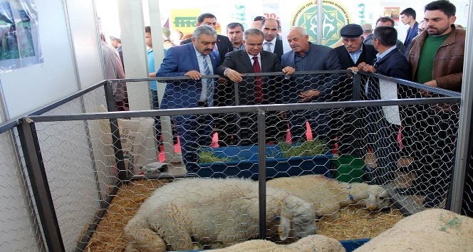 Karaman’da 1. Tarım Hayvancılık ve Gıda Fuarını 30 bin kişi gezdi