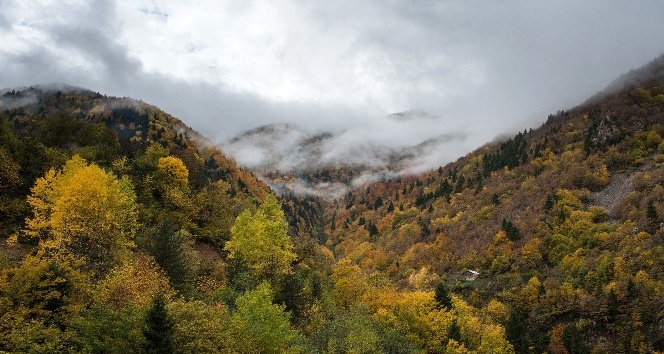 Örümcek Ormanları’ndan son ’bahar’ manzaraları