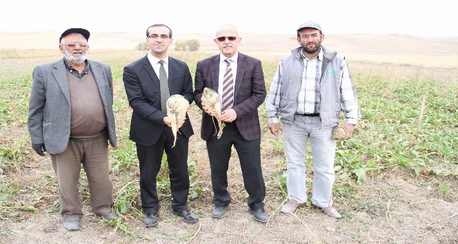 Mikoriza mantarı ürün verimini ve kalitesini artırıyor