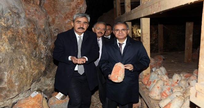 Divle Obruk Peyniri Dünya’ya açılıyor