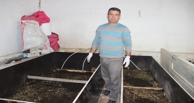 (Özel haber) Emekli asker kiraladığı ahırda solucan gübresi üretiyor