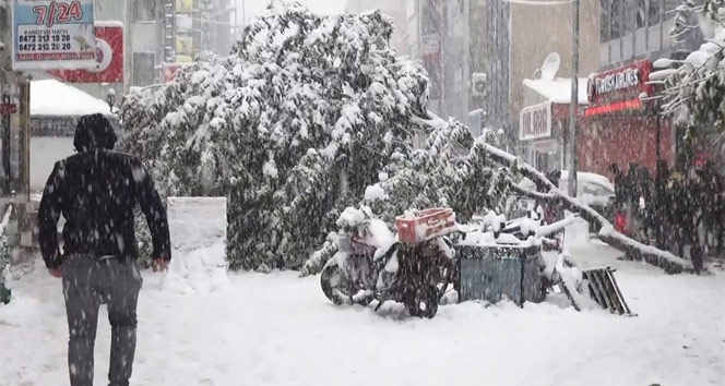 Doğubayazıt’ta kar hayatı durdurdu