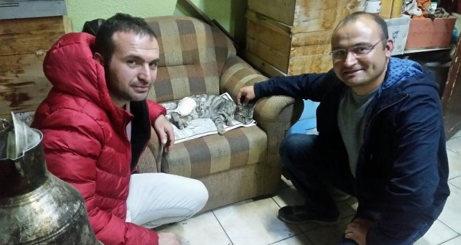 Bacağı kırılan sokak kedisi için seferber oldular