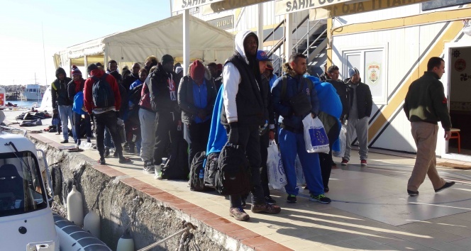 Ayvacık sahilinde 46 kaçak göçmen yakalandı