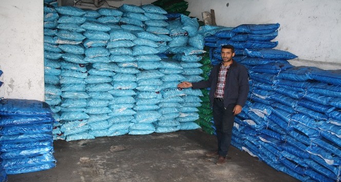 Dolar yükseldi, kömür fiyatları arttı