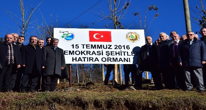Giresun’da ‘15 Temmuz Şehitler Hatıra Ormanı’ törenle açıldı.