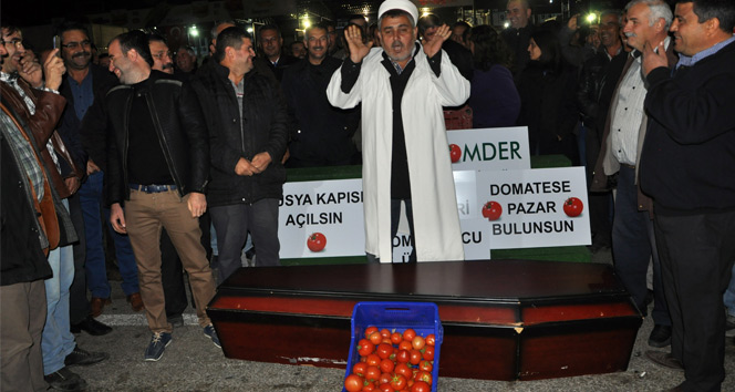 Antalya&#039;da çiftçiler domatesin cenazesini kaldırdı