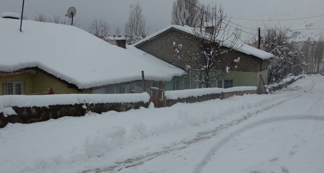 Bitlis’te yarım metreye yakın kar yağdı