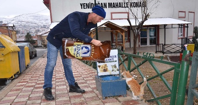 Bozüyük Belediyesi sokak hayvanlarının aç ve susuz kalmalarına engel oluyor