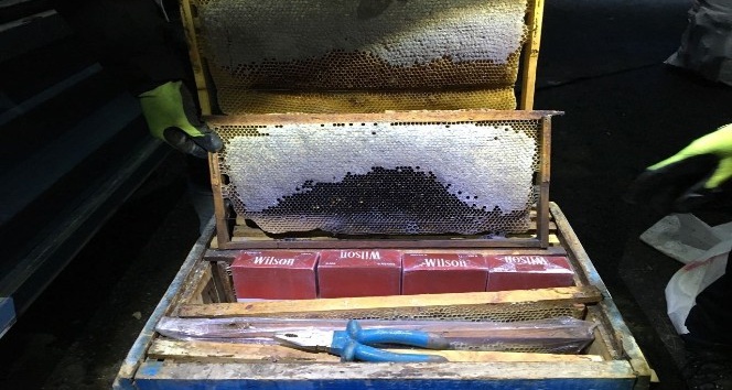 Bitlis’te arı kovanlarının içinde kaçak sigara ele geçirildi