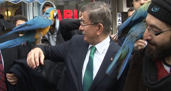 Ahmet Davutoğlu&#039;nun papağan ile zor anları