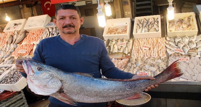 Mersinli balıkçılardan Cumhurbaşkanı Erdoğan’ın açıklamalarına destek