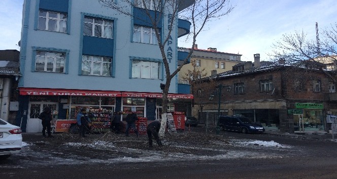 Kars’te belediye ağaçları buduyor