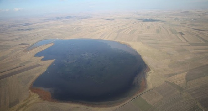 44 bin 938 kuş gözlenen Kars Kuyucuk Gölü kendi rekorunu kırdı