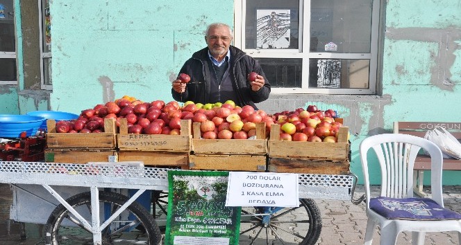 Seyyar satıcıdan 200 dolar bozdurana bir kasa elma bedava