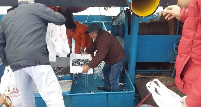 Balıkçılar istavritin torbasını 5 TL’den sattı
