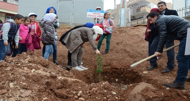 Genç gönüllüler okul bahçesine ağaç dikti