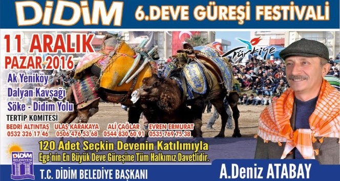 Didim deve güreşi festivali 11 Aralık Pazar günü yapılacak