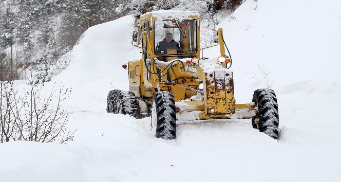 Gümüşhane’de kar yağışı