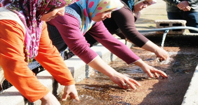 Türkiye’nin fidanları Eğirdir’de yetiştiriliyor