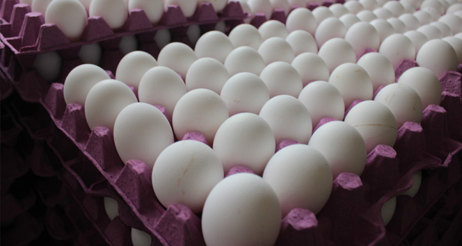 Tavuk yumurtası üretimi Nisan&#039;da azaldı