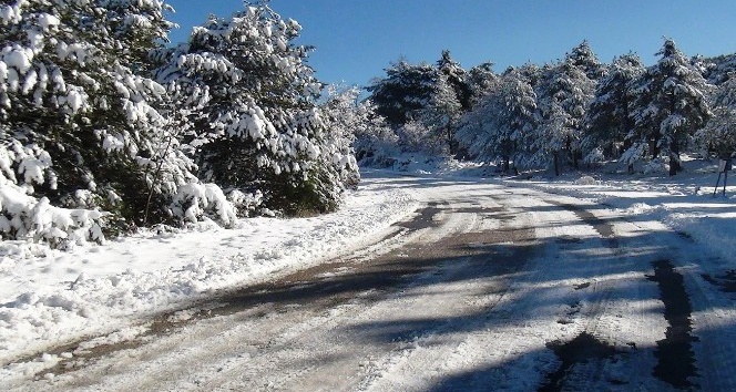 Kapanan yayla yolları açıldı