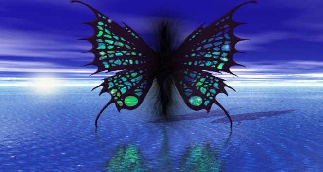 ’Kelebek Etkisi’ oluşturdu ve zengin oldu