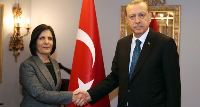 Erdoğan, KKTC Meclis Başkanı’nı kabul etti