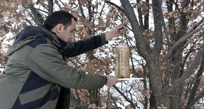 Yaban hayatını unutmayın