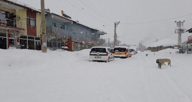 Bingöl’de kar yağışı hayatı felç etti