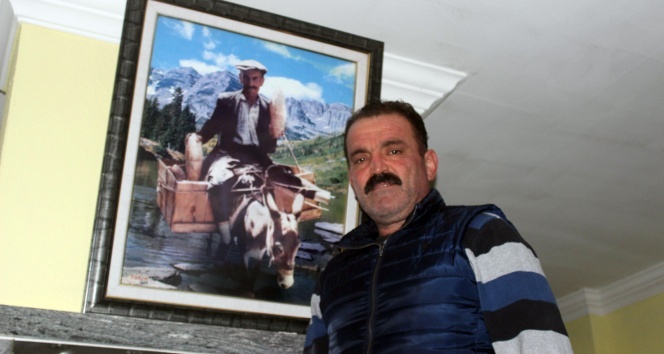 Bu eşeğin hikayesi duyanları şaşırtıyor