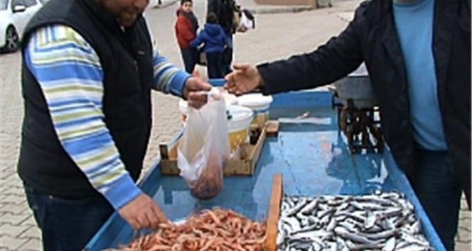 Marmara Denizi&#039;nde karides avı yasaklandı