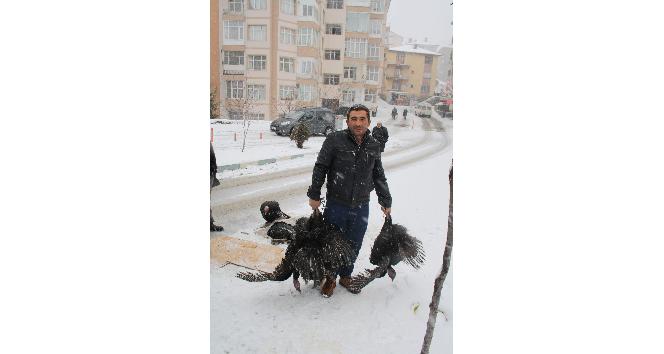 Yozgat’ta yılbaşı hindi satışları yüzleri güldürdü
