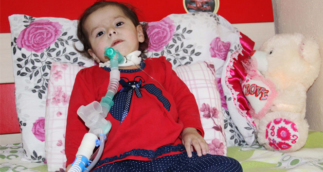 SMA hastası minik Zeynep’in ailesi yardım bekliyor